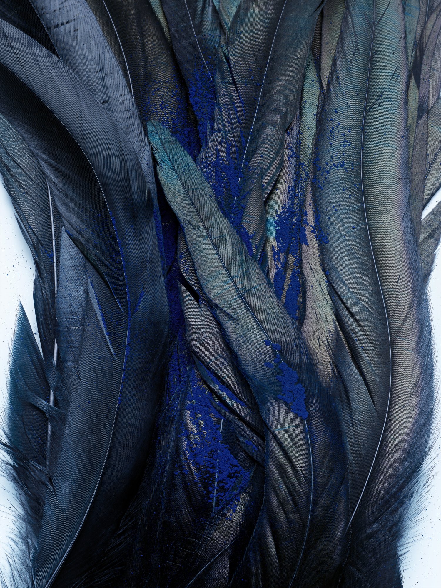 Feathers, Bluemercury Campaign 